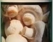 محلول تقویتی پرورش قارچ خوراکی | نانو | تجهیزات قارچ 09199762163