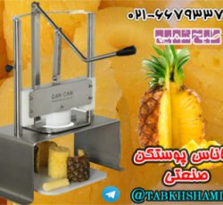 دستگاه آناناس پوستکن صنعتی