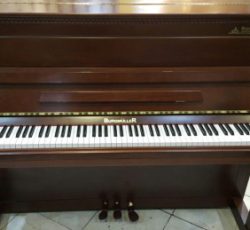 پیانو آکوستیک برگمولر  121