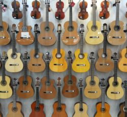 فروش انواع گیتار(یاماها،کرت،الحمبرا و سایر برندها)