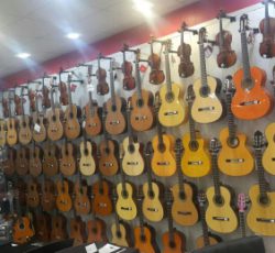 فروش انواع گیتار و ویولن