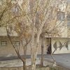 آپارتمان ۶۲ متری در ۲۲ بهمن اصفهان