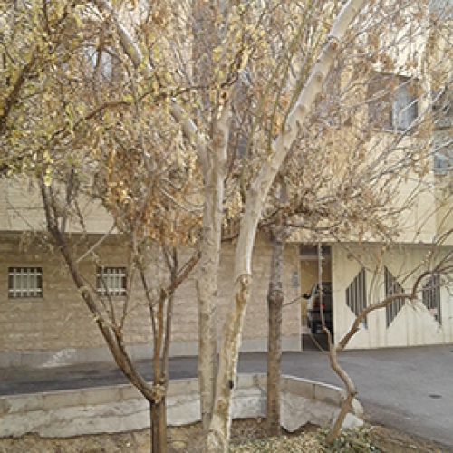 آپارتمان ۶۲ متری در ۲۲ بهمن اصفهان