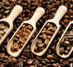 فروش عمده و جزئی انواع قهوه با قیمت مناسب و کیفیت بالا