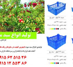 تولید و فروش انواع سبد میوه