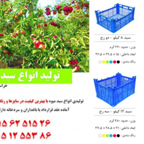 تولید و فروش انواع سبد میوه