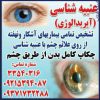 درمان بیماری از راه  چشم، خدمات زالو درمانی وانرژی  درمانی