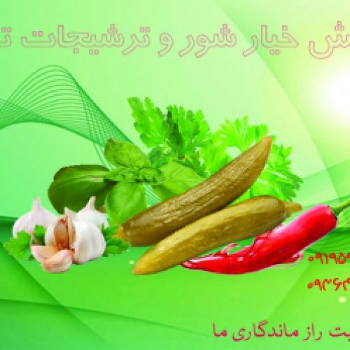 پخش خیار شور و ترشیجات تمنا