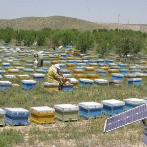 مولد های قابل حمل برق خورشیدی