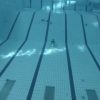 آموزش شنای بانوان در5جلسه تضمینی و خصوصی