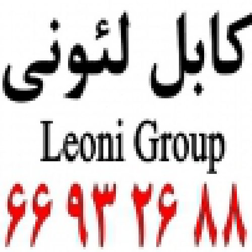 کابل شبکه لئونی – کابل لیونی