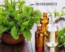 نمایندگی فروش روغن درخت چای