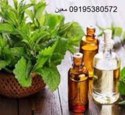 نمایندگی فروش روغن درخت چای