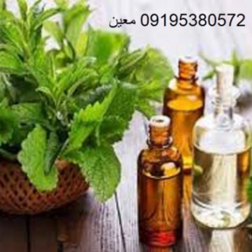 نمایندگی فروش روغن درخت چای