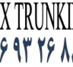 ترانکینگ دی ال ایکس DLX