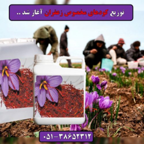 کود زعفران,Saffron fertilizer,قیمت کود زعفران,کود مخصوص زعفران مشهد