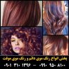 رنگ موی پاستیلی بلوند می در 7 رنگ جذاب Blond Me Toning Cream