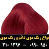 رنگ مو یک دقیقه ای فاقد آمونیاک آسانتا ASSANTA