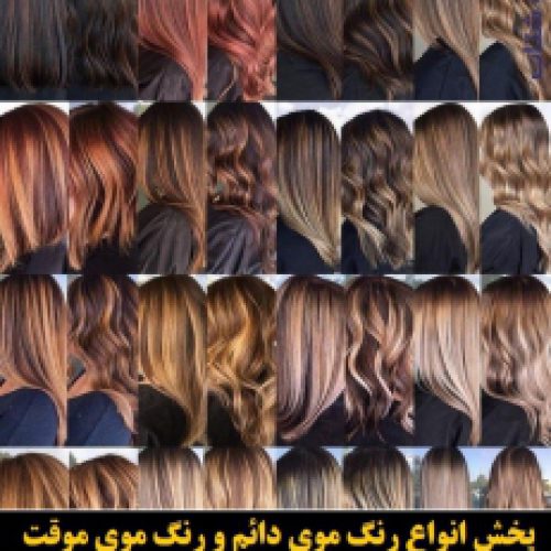 اکسیدان ضد قرمزی کوچک فورگرلز 4Girls