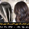 رنگ مو پروکسی بلوند خیلی خیلی روشن شماره 10