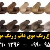 رنگ مو پروکسی بلوند دودی نقره ای شماره 10.2