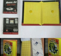 چسب موش کتابی و کارت زرد فیکا شیمی