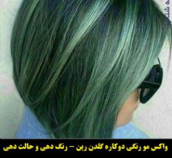 فروش واکس موی رنگ موقت رین رنگ مو سبزکم رنگ