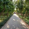 خرید 750 متر باغ ویلا بدون مشکل جهاد در شهریار