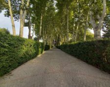 2300 متر باغ با جواز ساخت ویلای فاخر در محمدشهر کرج