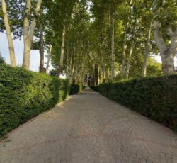 2300 متر باغ با جواز ساخت ویلای فاخر در محمدشهر کرج