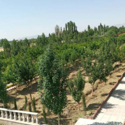 یک هتکار و 110 متر مربع باغ در کرج ( نظر آباد )