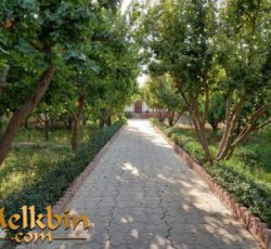 500 متر باغچه چهاردیواری در شهریار