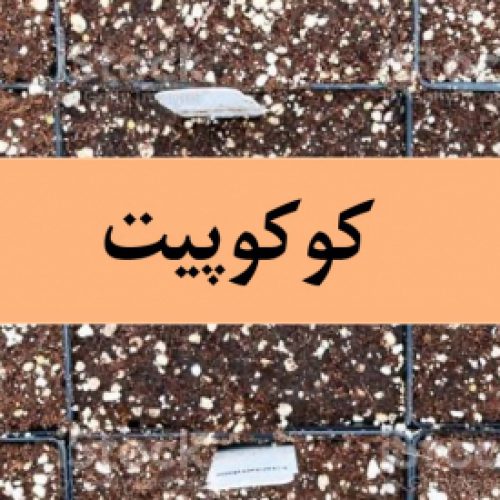 فروش کوکوپیت