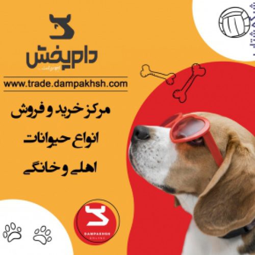 سایت خرید و فروش حیوانات خانگی و کالاهای دامی