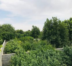 500 متر باغچه در شهریار