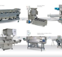 ماشین آلات خط تولید , فرآوری و بسته بندی ترشیجات و شوریجات
