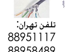 وارد کننده بلدن Belden تهران 88958489