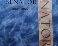 آلبوم کاغذ دیواری سناتور SENATOR