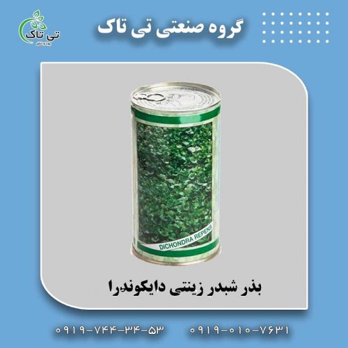 بذر شبدر زینتی دایکوندرا