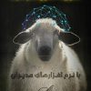 نرم افزار مدیریت دام سبک (گوسفند و بز)