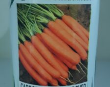 بذر هویج جرمینا