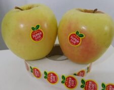 قیمت برچسب سیب صادراتی09197443453