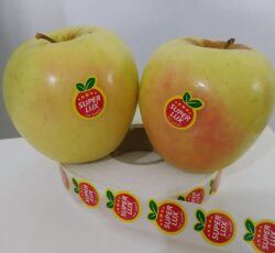 قیمت برچسب سیب صادراتی09197443453