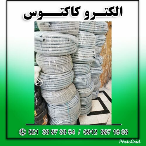 ااکتروکاکتوس