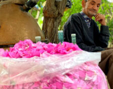 پخش گلاب دوآتیشه برند صادراتی سوگند کعبه قمصر کاشان