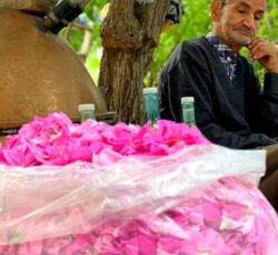 پخش گلاب دوآتیشه برند صادراتی سوگند کعبه قمصر کاشان