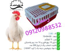 قفس مرغی، سبد مرغ زنده، جعبه مرغ ،سبد پلاستیکی مرغ گرم