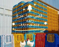 تولید و فروش قفس مرغی ، سبد حمل مرغ