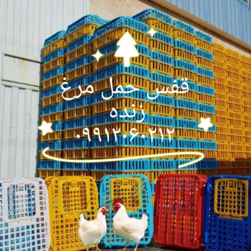 تولید و فروش قفس مرغی ، سبد حمل مرغ