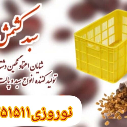 سبد20 کیلویی  ،سبد حمل ،سبد حمال،سبد مرکبات ،سبد کشمش